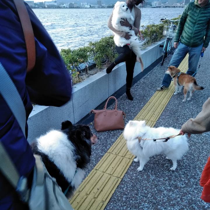 Fdf679bc 4dda 4675 b1f9 094419555ddd 1525518009312