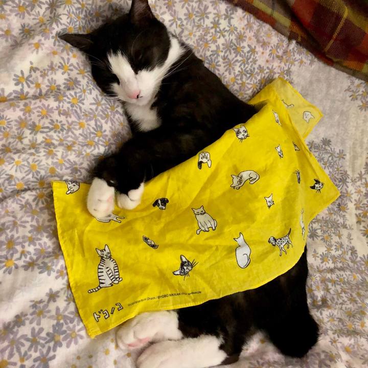 Fdf68847 f338 4cd9 9dd6 a2d629c33ab4 1528208253591