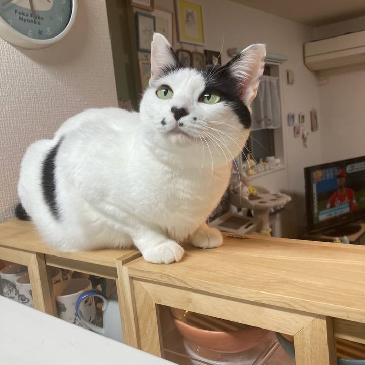 Fdf6b2ec 97d3 4f59 99ff 81333f9ae294 1759264579045