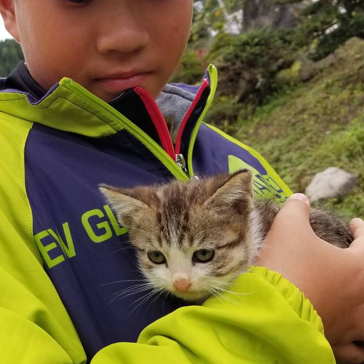 Fdf6b70f ea2c 428e 9bf9 fcf9b59a5c59 1569219842221