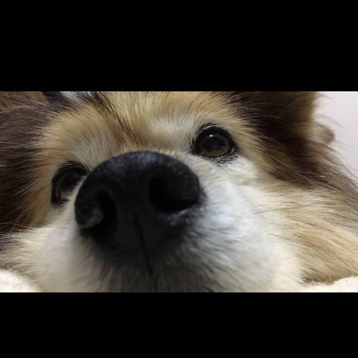 Fdf6b94c a9aa 4cf9 b720 8f75ca2bf8f4 1605841473486