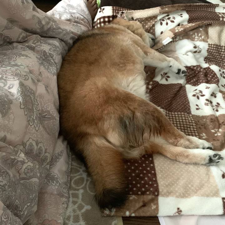 Fdf6c017 64bf 45d8 ad05 a4f1352f7b38 1684677995769