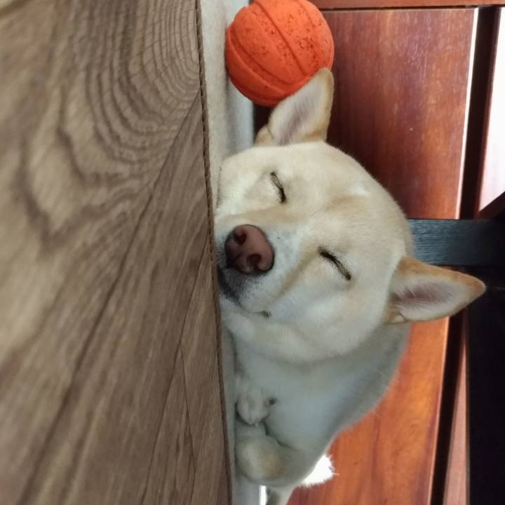 Fdf6f5b6 2fb2 4ef7 9327 11f8239e718d 1536324097825