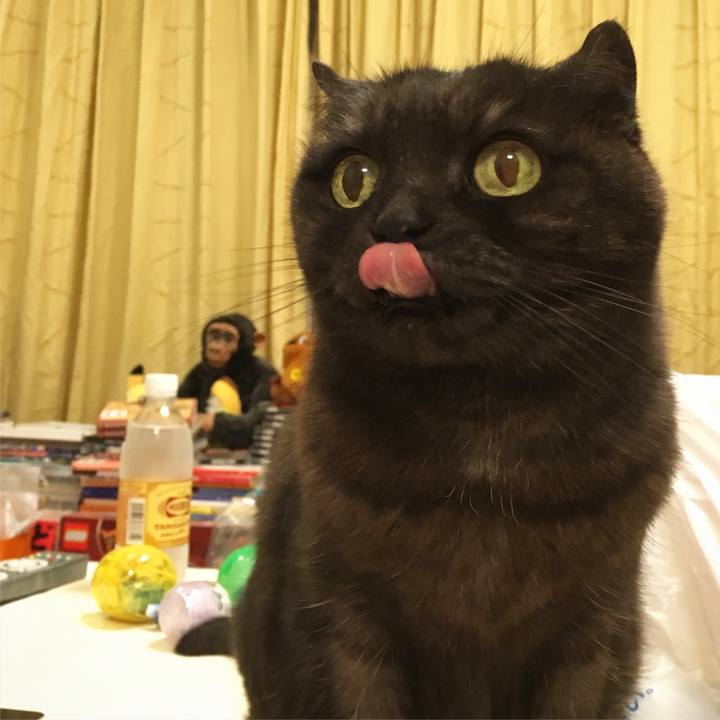 Fdf6f9b3 45d5 4780 b473 d9e7f0158ebb 1555862485052