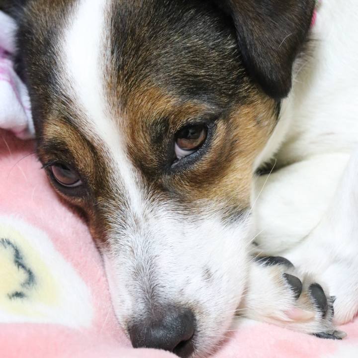 Fdf7171a bdb4 4747 ade1 6ecb7e5c4443 1515495374484