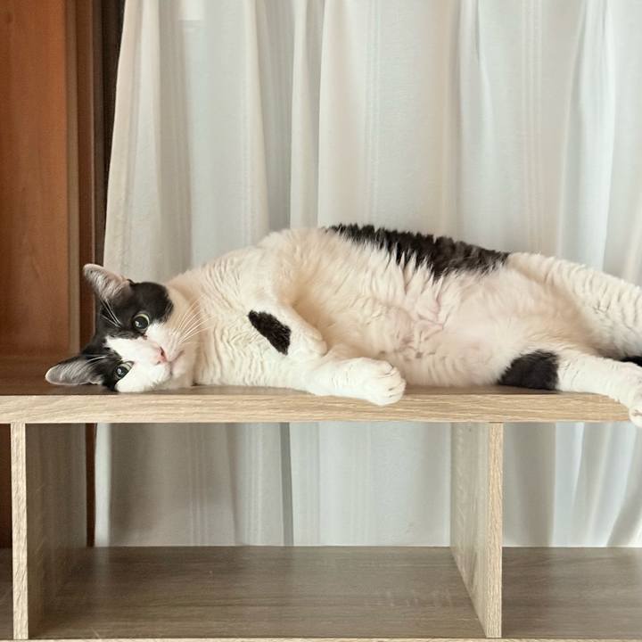 Fdf71fb2 24a5 49ce b7c1 f631863c5902 1750212375143