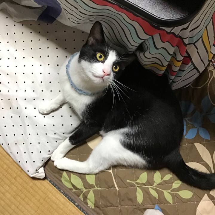 Fdf730aa 798d 48ba b4dc b01c584e483e 1665488854389