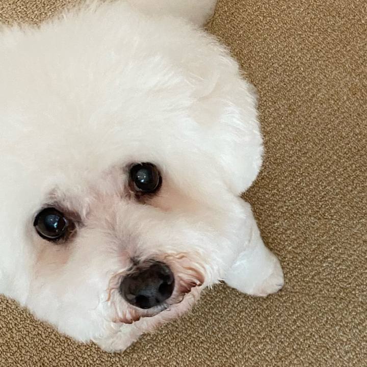 Fdf77c4b 6710 457c 840b 02b625028db0 1697439738694