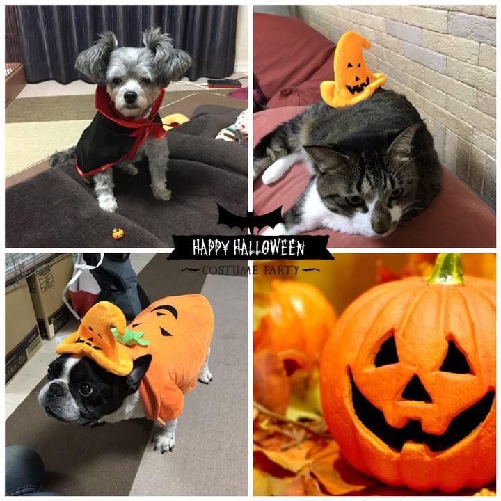 Fdf77f7a 9bd6 431e a20f 22e869f0d0eb 1572176277740