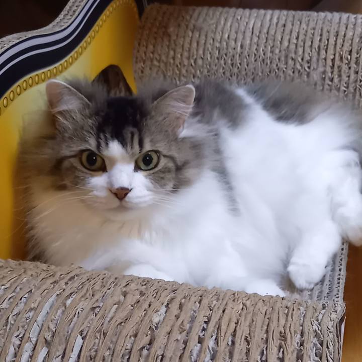 Fdf7ae72 dfbd 43f5 a016 137cd9346562 1648423782929