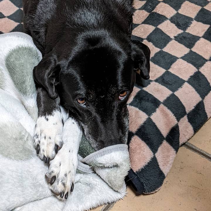 Fdf7b973 962d 4fae 93b3 6493a4a24565 1706826077451