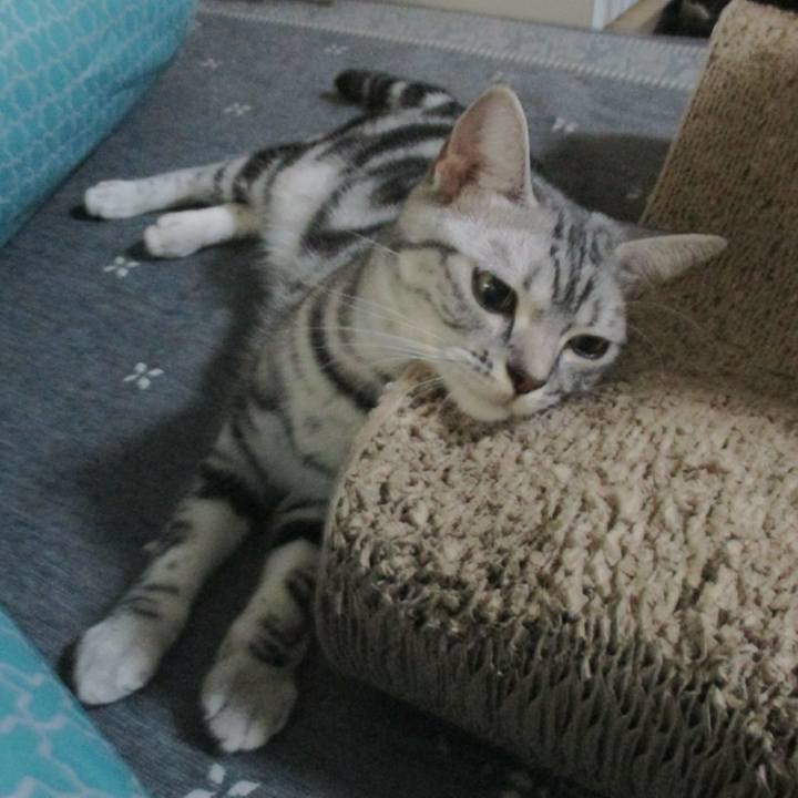 Fdf7be49 45bc 4e57 8797 40648d710a5d 1562852599449