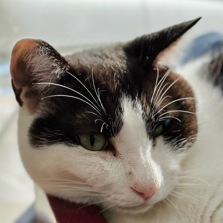 Fdf7cc98 8272 4be2 b889 fde40ce9cf05 1667870212832