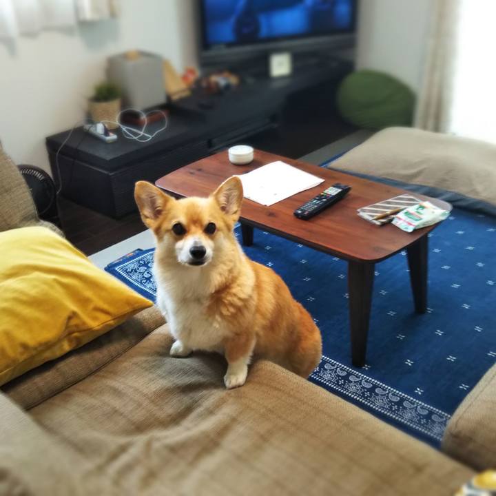 Fdf7e203 e699 4ea4 9f91 f6262d11b842 1592026989175