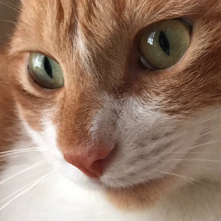 Fdf80031 e0ef 4844 a8c1 c2fb39d1594a 1511619729856