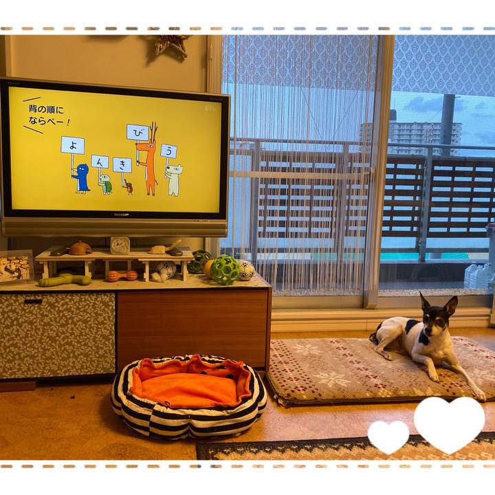 Fdf84c29 4000 4f73 bf3b 320b0ffb32cb 1575586735417