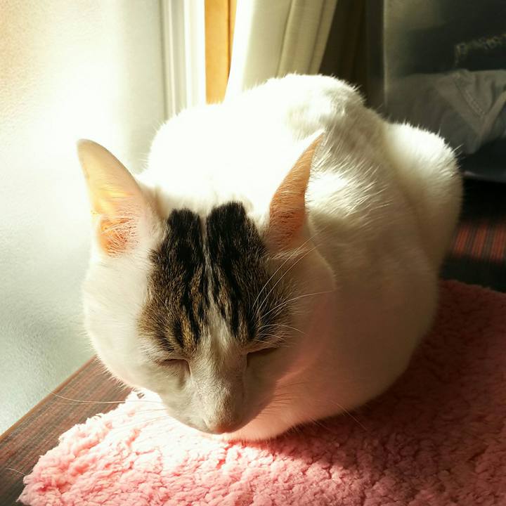 Fdf8910b 3ac6 4d3b ba68 b64e0b0078e0 1509847544584