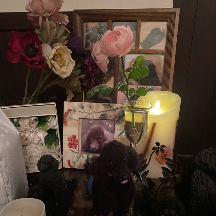 Fdf891fc 5699 470d 8b81 e7125d993e57 1623838487804