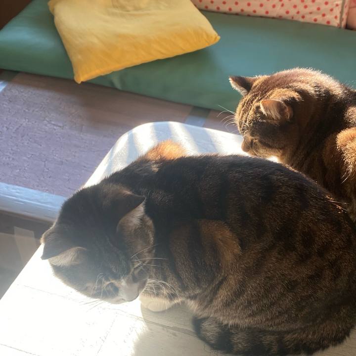 Fdf8baf8 f1e8 4751 bd42 e10fa501072e 1673295805029