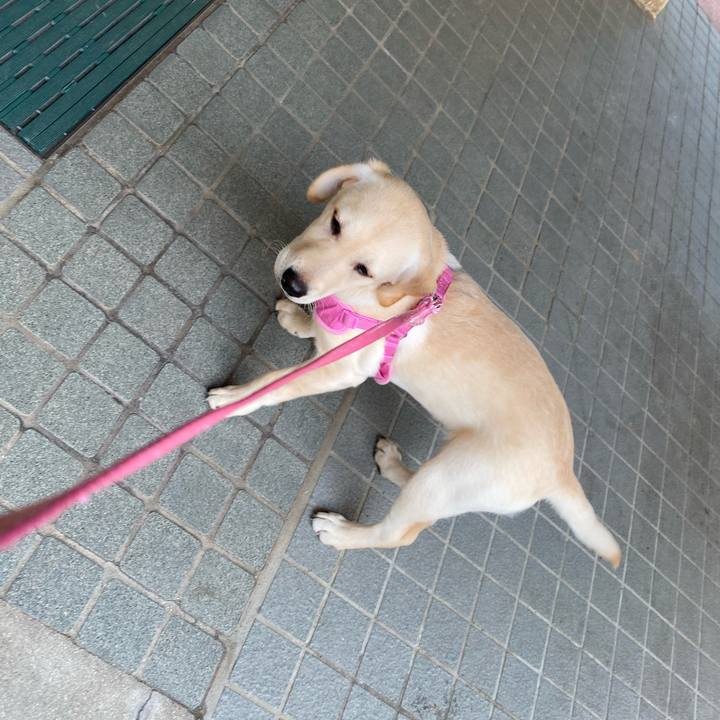 Fdf90fb3 8389 449d be49 d618861ea210 1615167184440