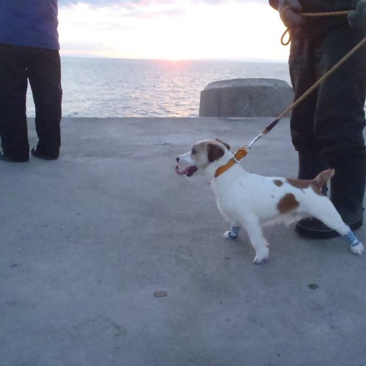 Fdf91162 37f0 4ccf 95b5 aa1a5afbac22 1547459456302