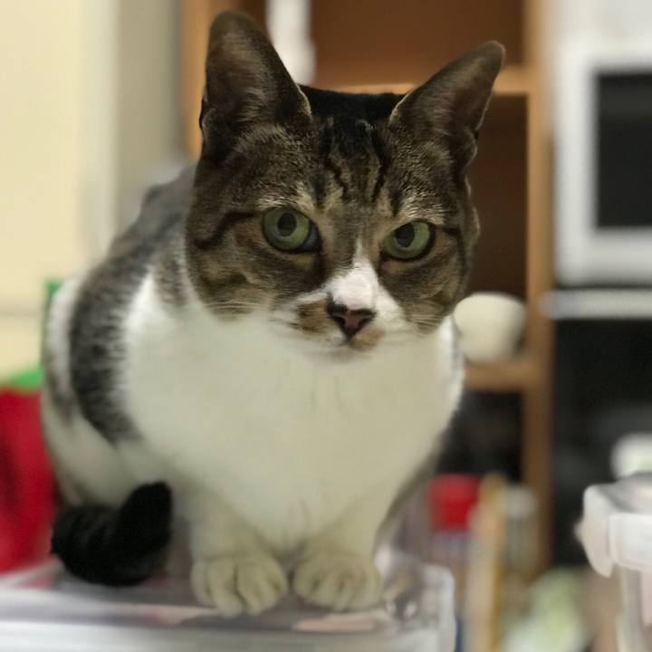 Fdf915d6 fb24 414f 8270 f1b8644973f8 1516499584008