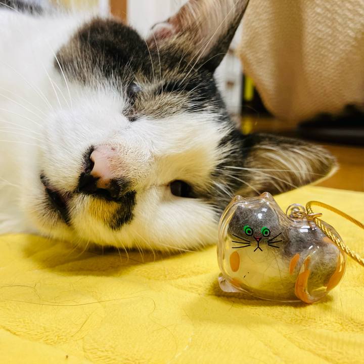 Fdf963a2 866c 47b4 857d a10e98b09a7f 1754879820323