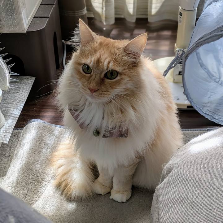 Fdf9dafc f632 4978 9486 9a98d78794e7 1743742635966