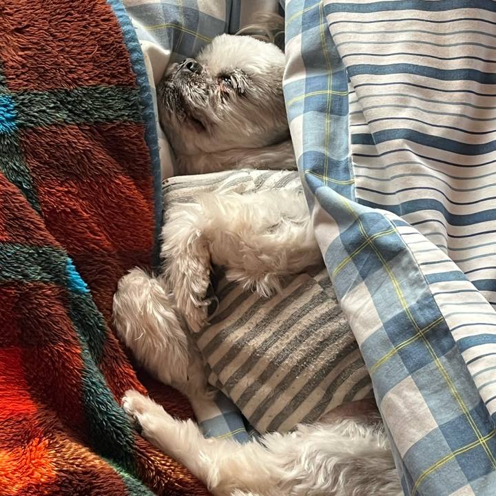 Fdf9f0a7 86a3 4d79 a1f3 e1414d4742d5 1708223601325