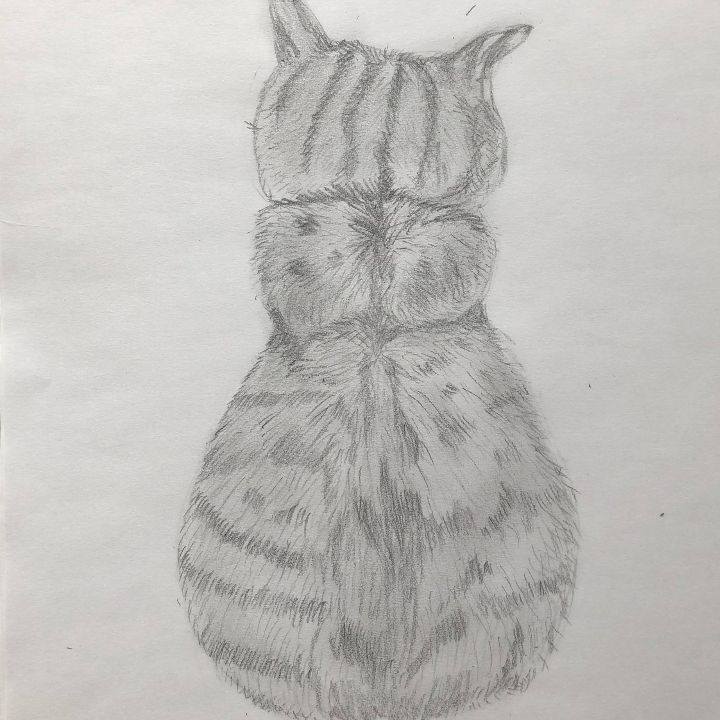 Fdf9fe11 f287 434d 8798 2cb4a0168703 1630534126303