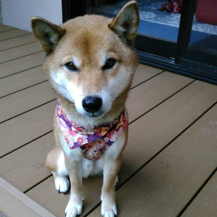 Fdfa0665 ef41 402f b14d a5d302ab8d49 1515485318123