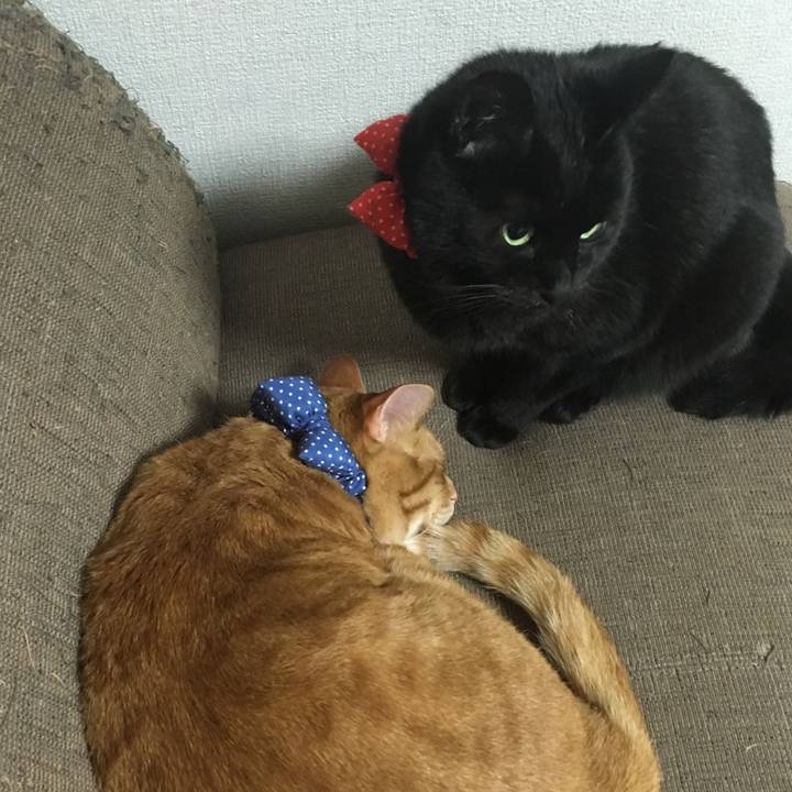 Fdfa2b1f 7636 4264 b6fa 799b9381e49f 1544535491942