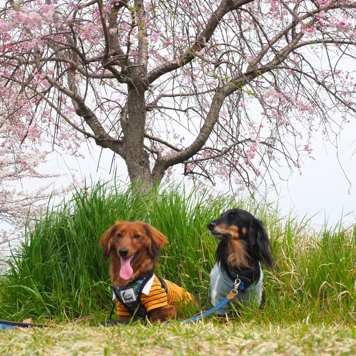 Fdfa3dd4 6a75 4fa6 82c3 e1a2fce1c752 1712466984405