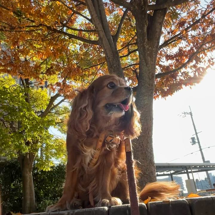 Fdfa75e3 d5d4 4a0d b680 07a4890a99eb 1698971347518