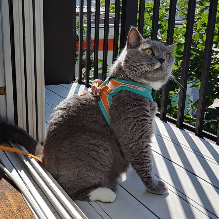 Fdfa7761 7ab1 4781 ade3 24b140ee331e 1658619191051