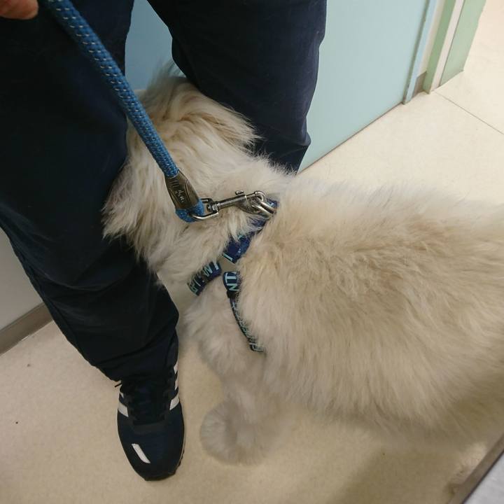 Fdfa8b6f e789 4a93 b329 5d9ea4b9e8a5 1595149333939