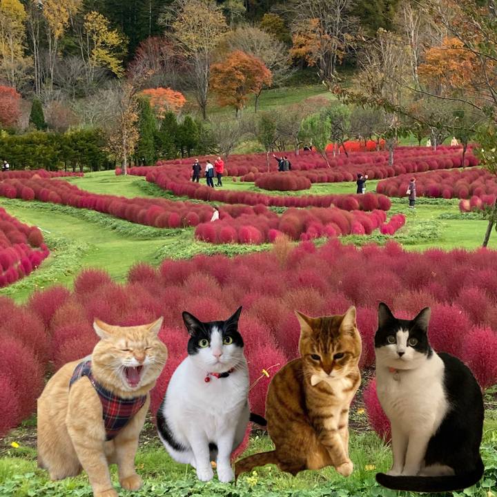 Fdfa8dc8 4356 4b58 89ca 1af095b9d4a9 1729827776985