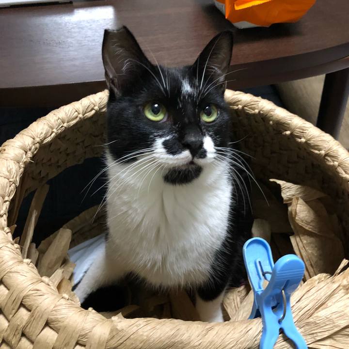 Fdfabf73 5d07 42d7 bbef 89ee6fa5045b 1537991262495