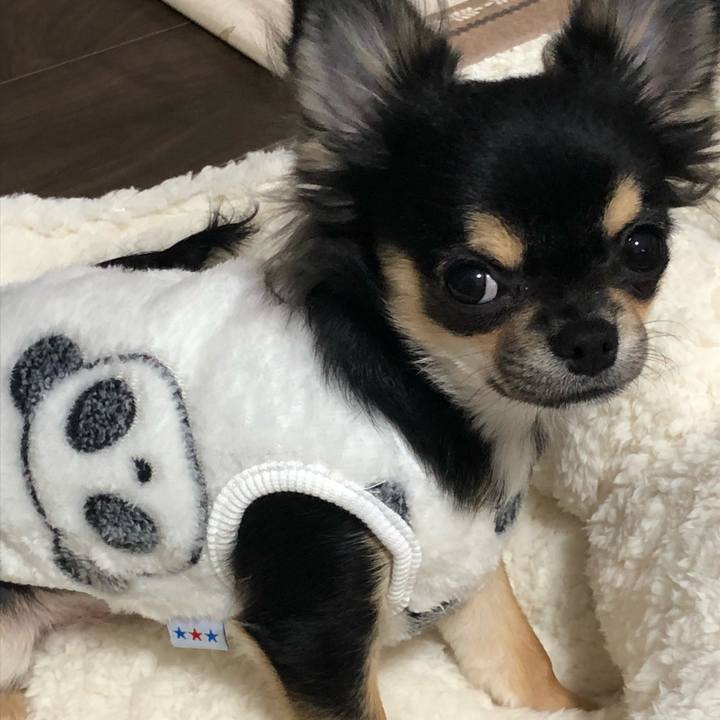 Fdfac5aa 0da2 4254 8f86 abdd59b623dd 1542355983434