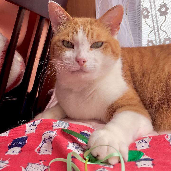 Fdfae20e 144a 4823 ab57 57e7d73f3050 1589684941908