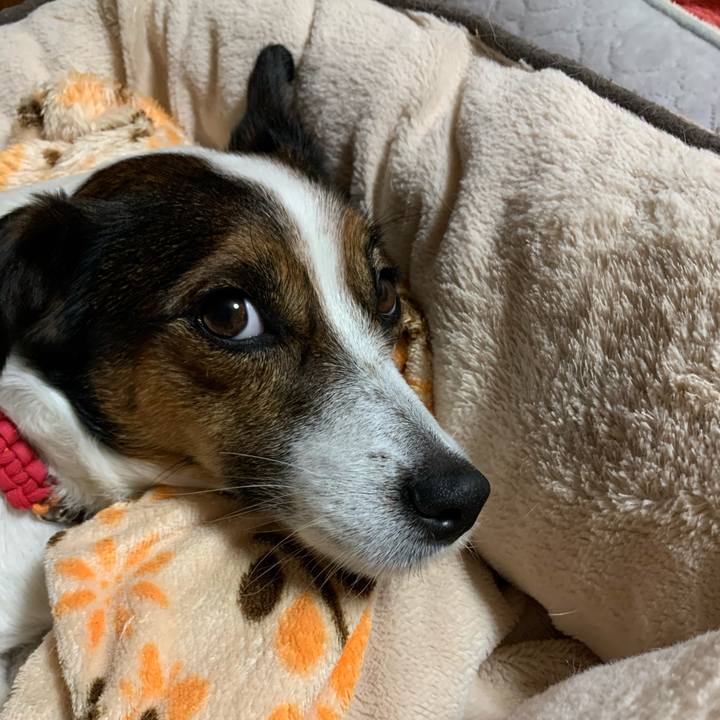 Fdfafc6a 2b86 4346 b5f0 9e95ee8ed36f 1604404252684