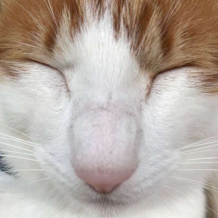 Fdfb542e f678 4a40 8dfb b7a98411cb49 1509765237881