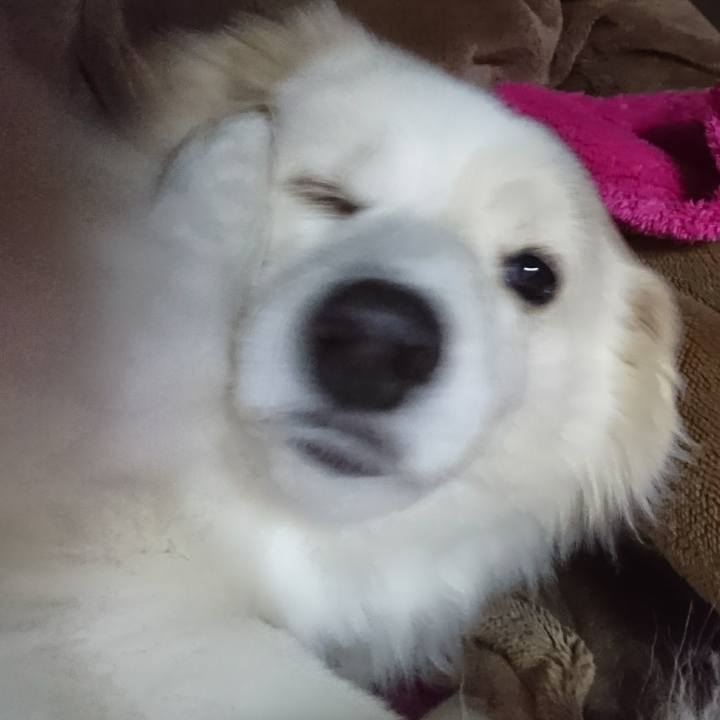 Fdfb77a1 5903 4805 93f9 ee9abbe43162 1518641685119