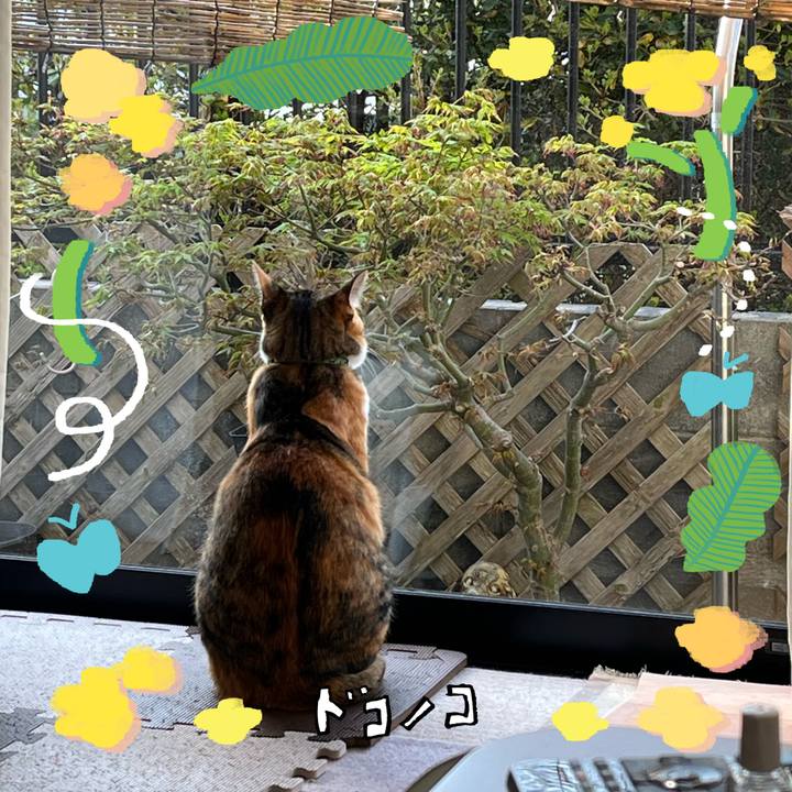 Fdfbe9d2 4704 45d5 9f51 b850705b113a 1744843497820