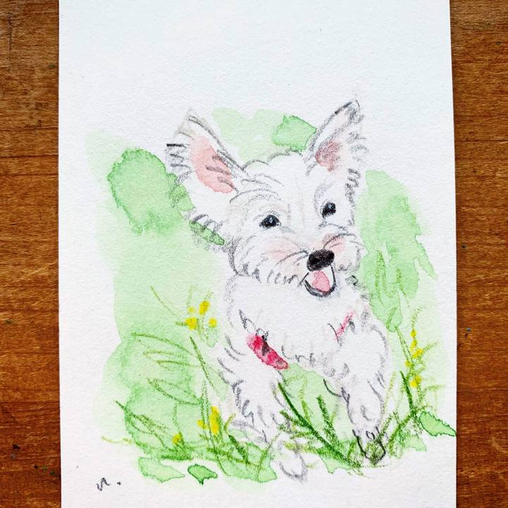 Fdfbf312 30a1 42a8 8111 d6969bb1939e 1608257734593