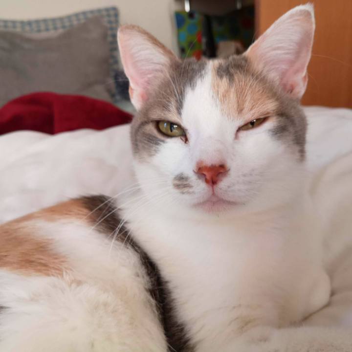 Fdfc0b8c 070e 4e75 b676 41dd731450be 1609387349399