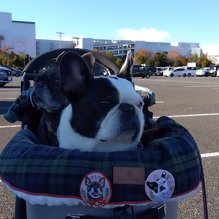 Fdfc11a0 eccc 45c2 993d eee8c16b1c25 1732952292477