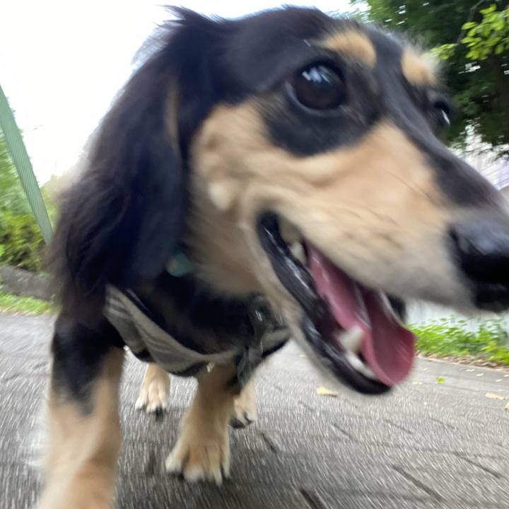 Fdfc2b82 08b2 4837 9455 c0ca38e5ad48 1695770197709