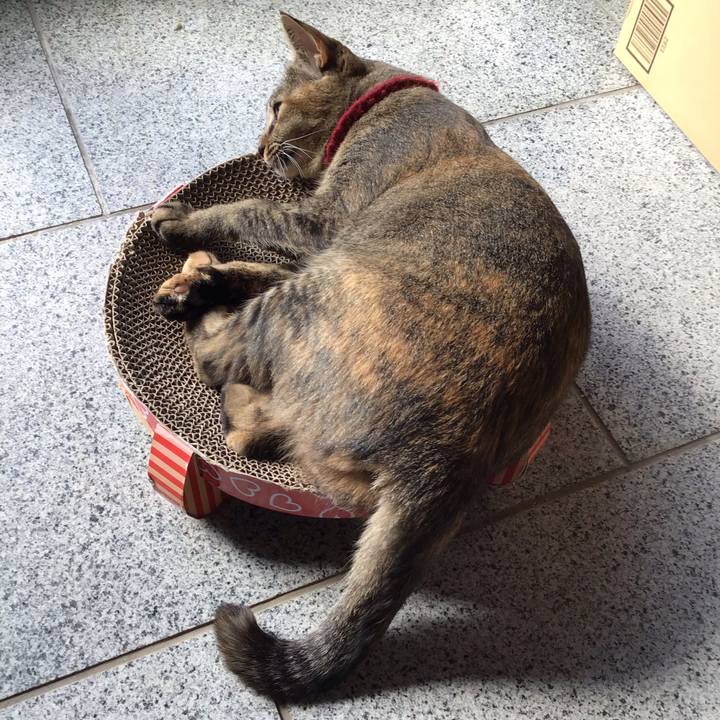 Fdfc2f85 3fd1 43cc a6b3 ab29898216e1 1600733372131