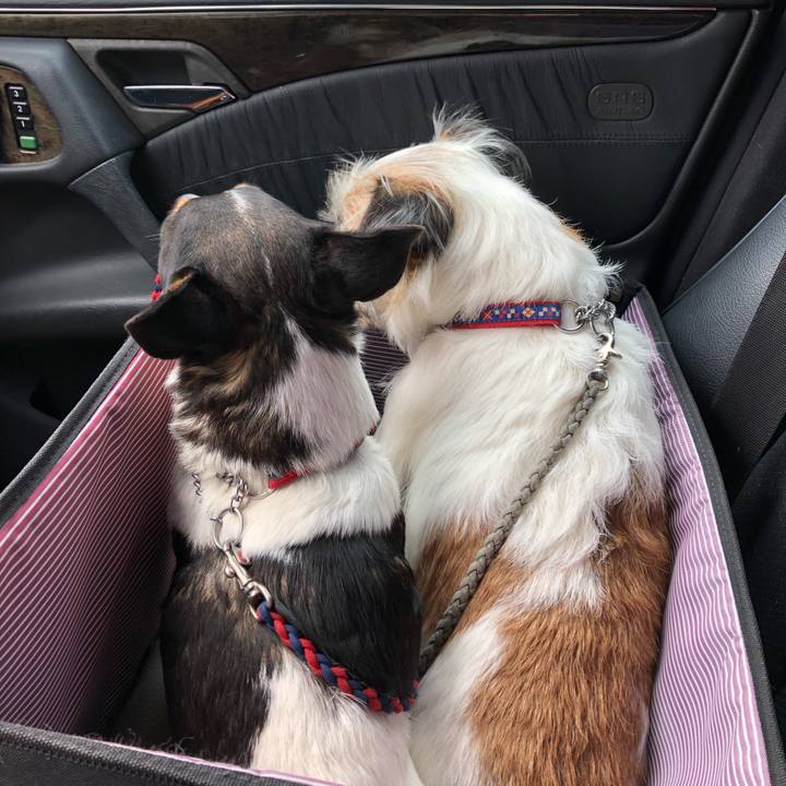 Fdfc37da b29b 4432 a873 ee1c178c0e05 1548820847624